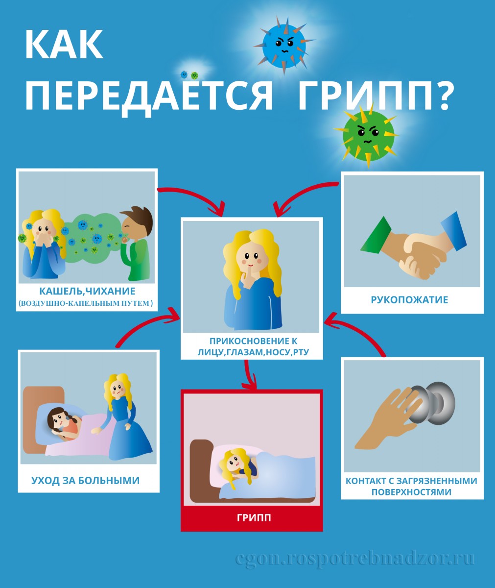 Как передается грипп - БУ ХМАО-Югры «Федоровская городская больница»